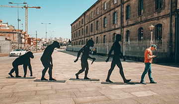 The Specific Evolution of Query Languages